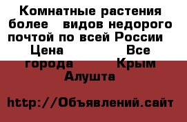 Комнатные растения более200видов недорого почтой по всей России › Цена ­ 100-500 - Все города  »    . Крым,Алушта